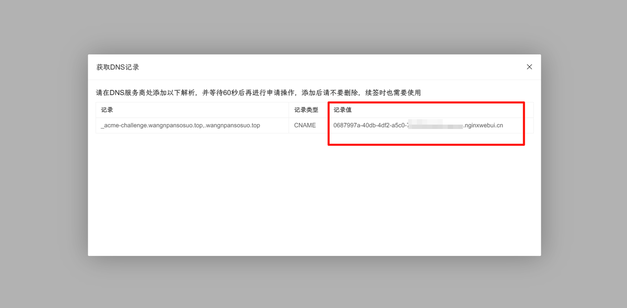 从 NginxWebUI 获取 DNS 验证记录值